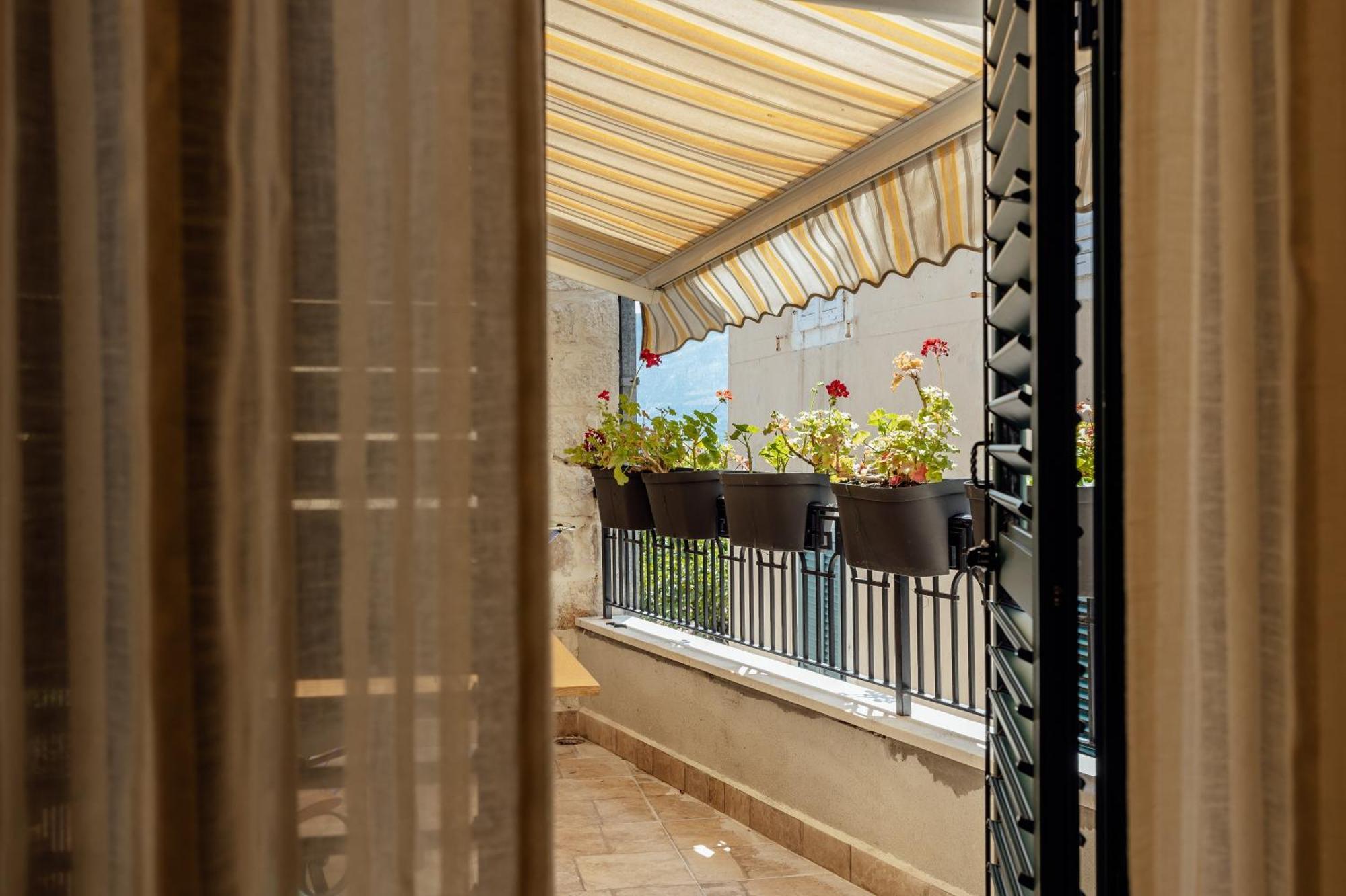 Guesthouse Villa Stari Grad Χέρτσεγκ Νόβι Εξωτερικό φωτογραφία