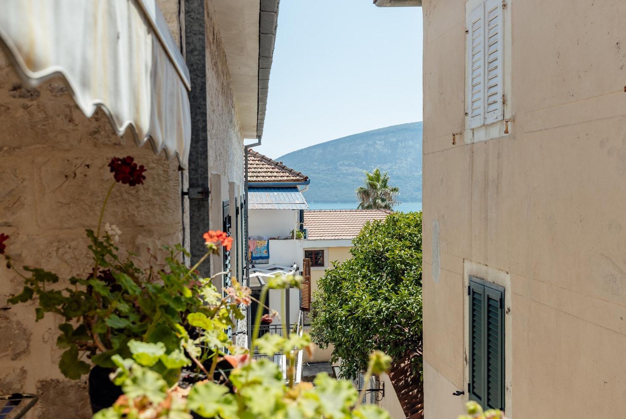 Guesthouse Villa Stari Grad Χέρτσεγκ Νόβι Εξωτερικό φωτογραφία